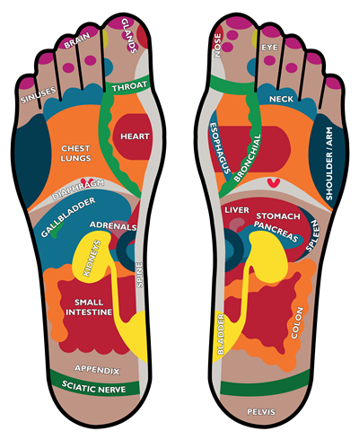 feet reflexology vera small