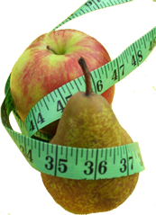 Body Composition and Targeted Weight Loss programme